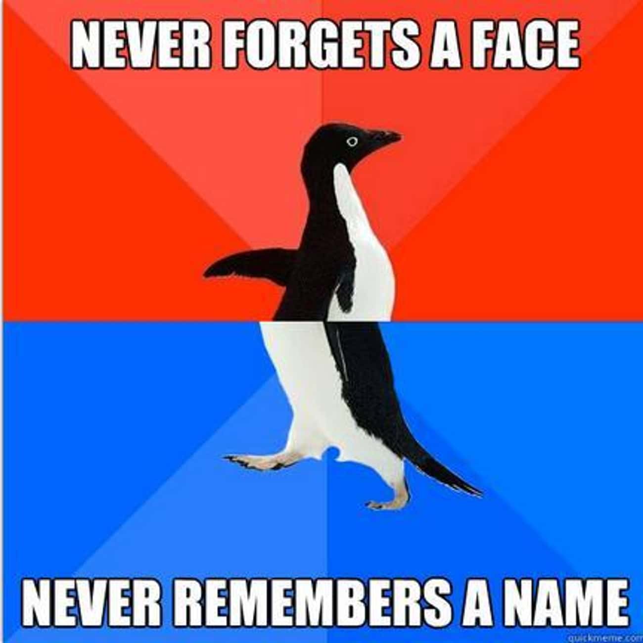 The Very Best of the Socially Awesome/Awkward Penguin Meme | List