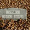 Dorman on Random Best Auto Transmission Brands