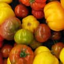 Heirloom Tomato on Random Tastiest Vegetables Everyone Loves Eating