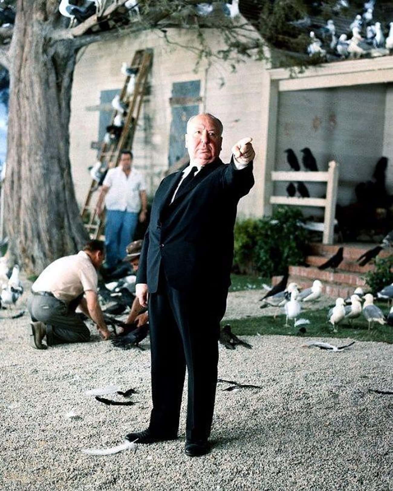 Actual Birds On The Set Of 'The Birds'