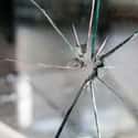 Man Proves Strength Of Window Glass, Frailty Of Window Pane In Fatal Fall on Random Most Ironic Deaths