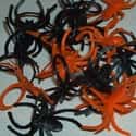 Plastic Spider Rings on Random Worst Things in Your Trick-or-Treat Bag
