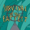 Survival of the Fattest on Random Best The Treehouse Of Horror