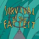 Survival of the Fattest on Random Best The Treehouse Of Horror