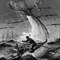 Moby Dick is listed (or ranked) 2 on the list President Barack Obama's Favorite Books