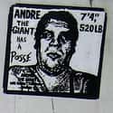 Andre the Giant on Random Ugliest Athletes