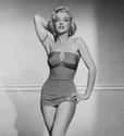 Marilyn Monroe In a Classic Pose on Random Best Photos Of Marilyn Monroe