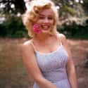 Marilyn Monroe is a Big Fan of the Outdoors on Random Best Photos Of Marilyn Monroe