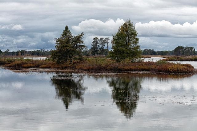 Worst Spots To Get A Tattoo / The 7 Best & 6 Worst Places On Your Body To Get A Tattoo ... : For the same reason as mentioned above, there are a huge amount of nerves in your hands and feet that will be disturbed, causing painful spasms.