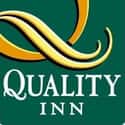 Quality Inn on Random Best Budget Hotel Chains
