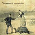 Turtle Lovers' Valentine on Random Greatest Internet Valentines