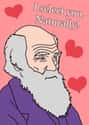 Darwinism Valentine on Random Greatest Internet Valentines