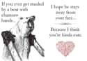 Chainsaw Bear Valentine on Random Greatest Internet Valentines