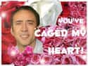 Nic Cage Valentine on Random Greatest Internet Valentines