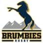 ACT Brumbies is listed (or ranked) 2 on the list Super Rugby 2013 - Ladder Prediction