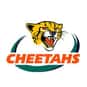 Cheetahs is listed (or ranked) 11 on the list Super Rugby 2013 - Ladder Prediction