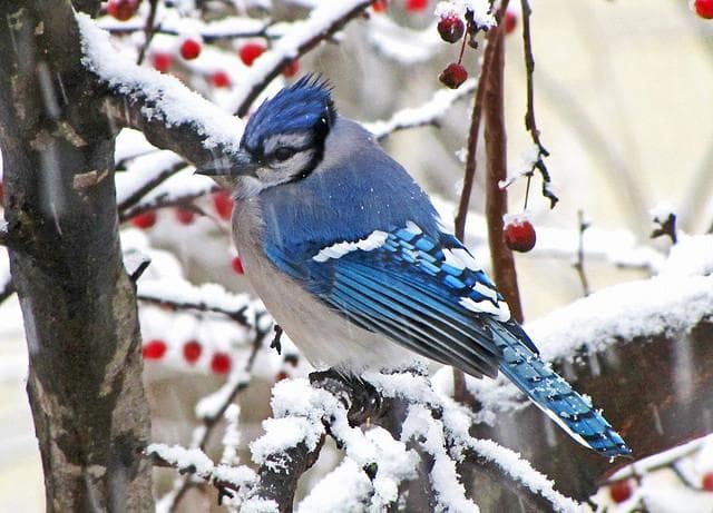 Most Beautiful Colors List of Prettiest, Most Popular Colors