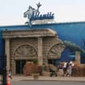 Atlantis Marine World on Random Best Aquariums in the US