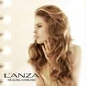 L'Anza on Random Best Hair Color Brands