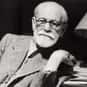Sigmund Freud is listed (or ranked) 16 on the list List of Famous Hypnotists