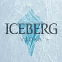 Iceberg on Random Best Vodka Brands