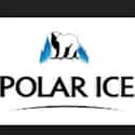 Polar Ice on Random Best Vodka Brands