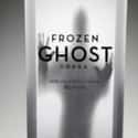 Frozen Ghost Vodka on Random Best Vodka Brands