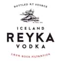 Reyka on Random Best Vodka Brands
