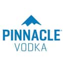 Pinnacle on Random Best Vodka Brands