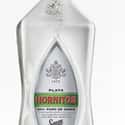 Hornitos on Random Best Tequila Brands