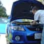 To Change the Oil is listed (or ranked) 22 on the list The Things You Forget The Most