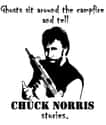 Scary! on Random Funniest Chuck Norris Jokes
