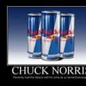 Always Innovating on Random Funniest Chuck Norris Jokes
