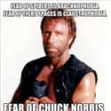 Heard Of It? on Random Funniest Chuck Norris Jokes