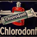 Chlorodont on Random Best Toothpaste Brands