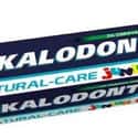Kalodont on Random Best Toothpaste Brands