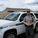 Park Ranger on Random Jobs That Are the Most Beneficial to Society