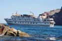 Lindblad Excursions on Random Best Cruise Lines