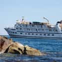 Lindblad Excursions on Random Best Luxury Cruise Lines
