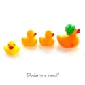 Get Your Ducks in a Row on Random Most Annoying Corporate Buzzwords