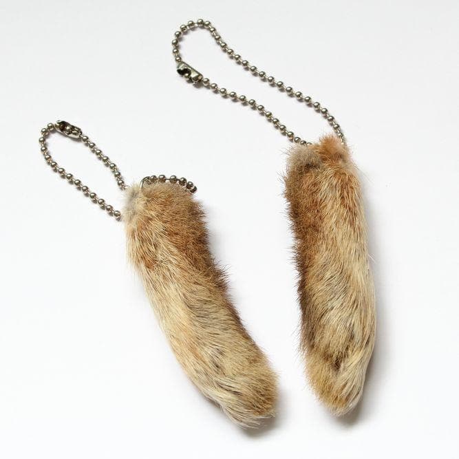 1000323143-photo-u2?auto=format&q=60&fit