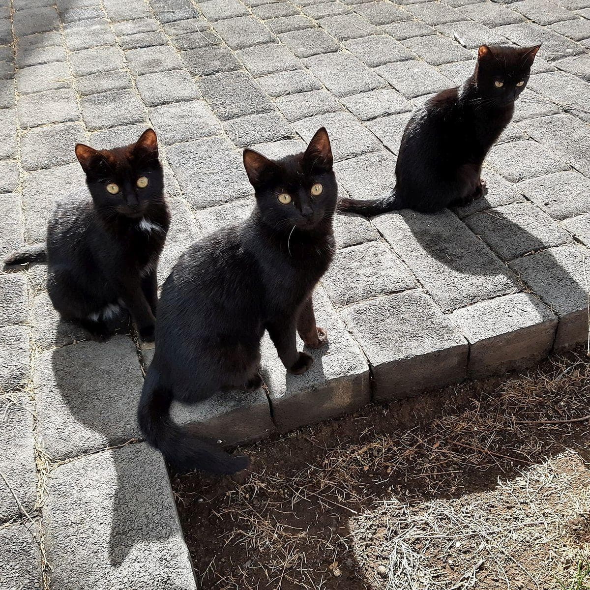 Bad News Comes In Threes