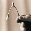 The Wishbone is listed (or ranked) 12 on the list The Superstitions You Secretly Believe