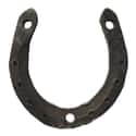 Horseshoes is listed (or ranked) 14 on the list The Superstitions You Secretly Believe