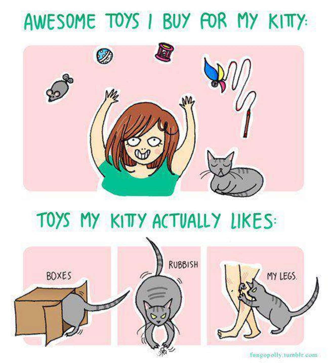 Toys Cats Like