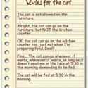A Cat's Rules on Random Greatest Viral Images About Cat Ownership