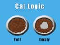 Cat Logic on Random Greatest Viral Images About Cat Ownership