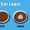 Cat Logic on Random Greatest Viral Images About Cat Ownership