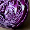 Purple cabbage on Random Best Things to Put in a Salad