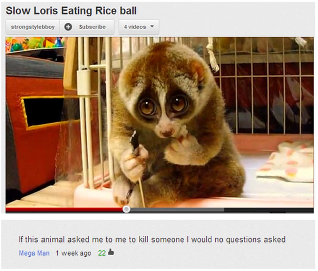 Какое животное попросил. Толстый Лори PNG. An ask animal.